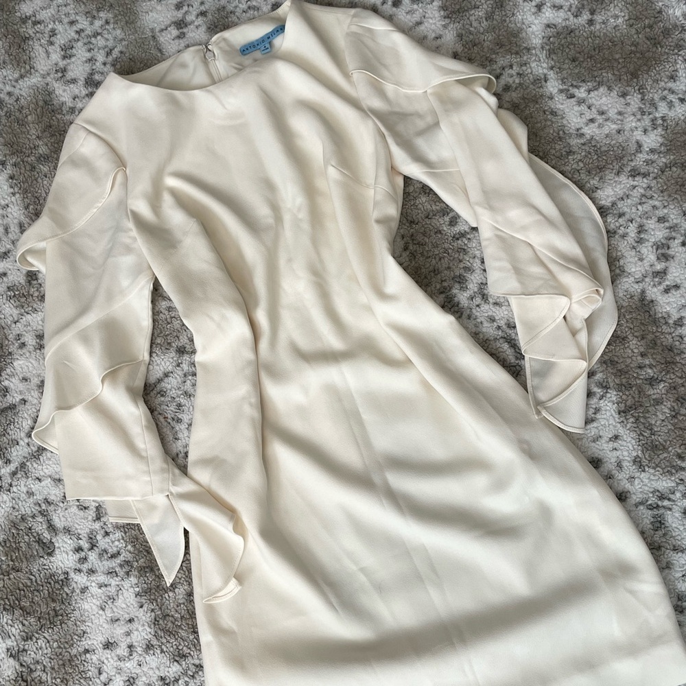 Antonio Melani ruffle sleeve dress - Picture 3 of 5